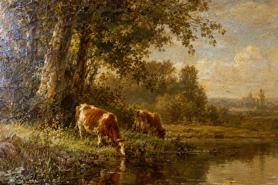 Das gereinigte Bild in der gewählten Rahmung (Illustration)